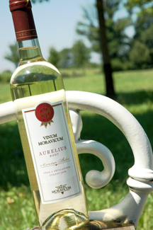 Aurelius 2007 Pozdní sběr, Vinum Moravicum