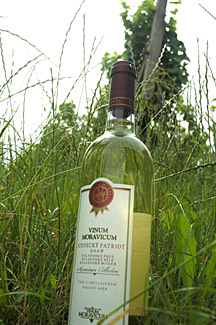 Bzenecký patriot 2008 Pozdní sběr, Vinum Moravicum