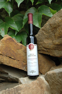 Chardonnay 2007 Slámové víno, Vinum Moravicum