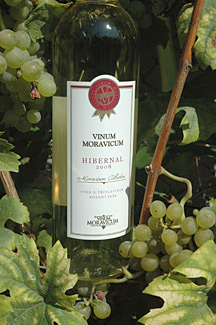 Hibernal 2008 Pozdní sběr, Vinum Moravicum