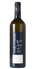 Rulandské bílé 2008 Pozdní sběr, Volařík