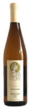 Sauvignon - Karlov 2011 Pozdní sběr, Regina Coeli Trpělka & Oulehla