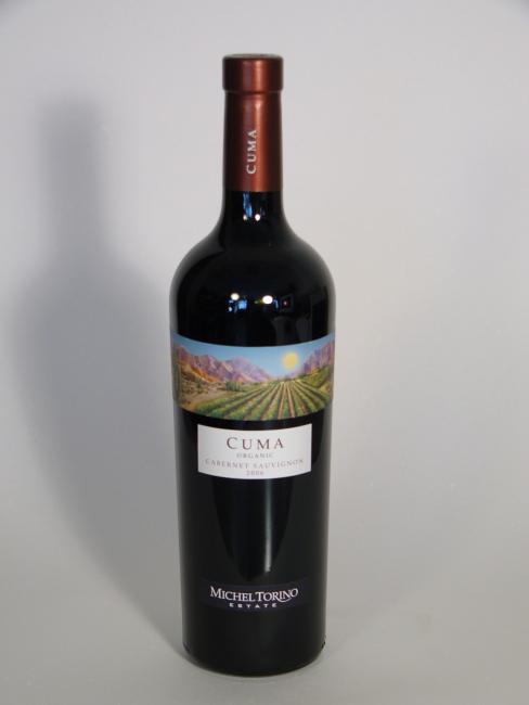 Cabernet Sauvignon 2006  , Michel Torino