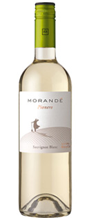 Pionero Sauvignon Blanc 2010  , Morandé