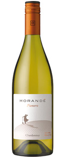 Pionero Chardonnay 2008  , Morandé