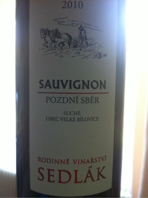 Sauvignon 2010 Pozdní sběr, Sedlák