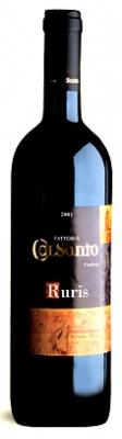 Ruris 2008  , Colsanto Fattoria